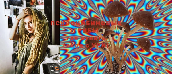 PSILOCYBIN Арсеньев