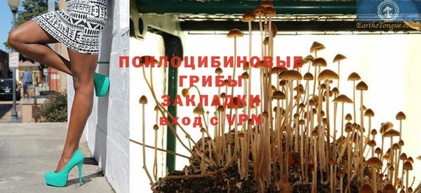 PSILOCYBIN Арсеньев