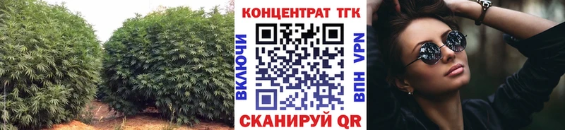 OMG онион Далматово Дистиллят ТГК концентрат
