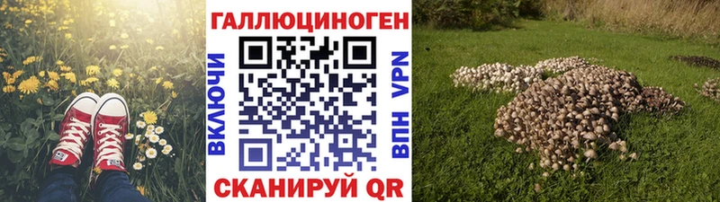 как найти наркотики Далматово Галлюциногенные грибы прущие грибы